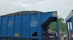 IMG 20230329 12551184 1