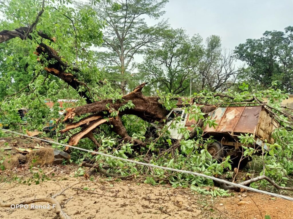 IMG 20230518 WA0040 1