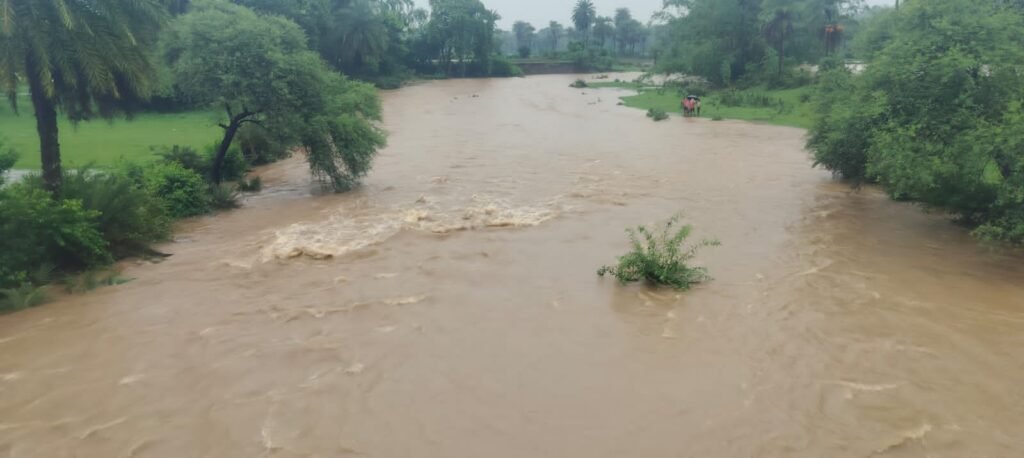 IMG 20230703 WA0026 1