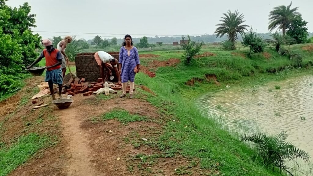 अमृत वाटिका में लगेंगे 75 पौधें, बीडीओ ने कार्य का लिया जायजा 14 IMG 20230808 WA0050