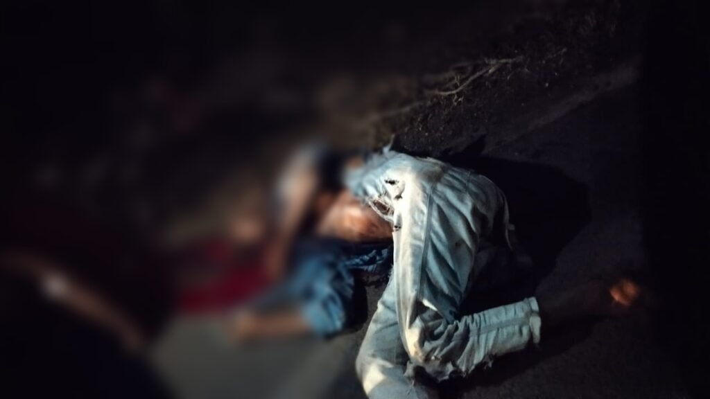 IMG 20231027 203058 1