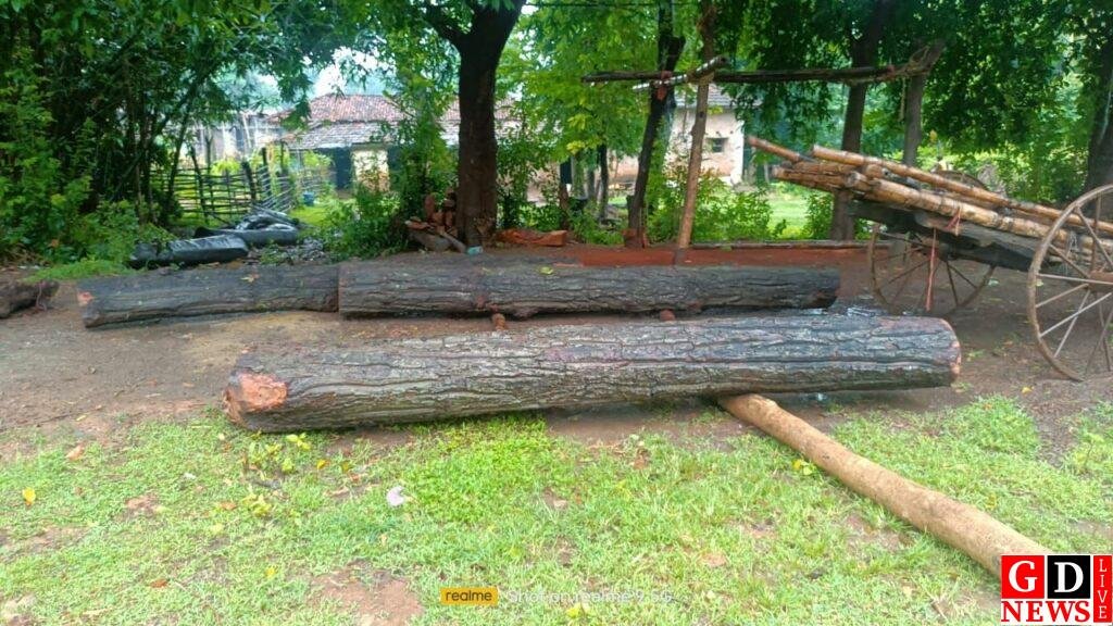 img 20240925 wa00427410333965626587436