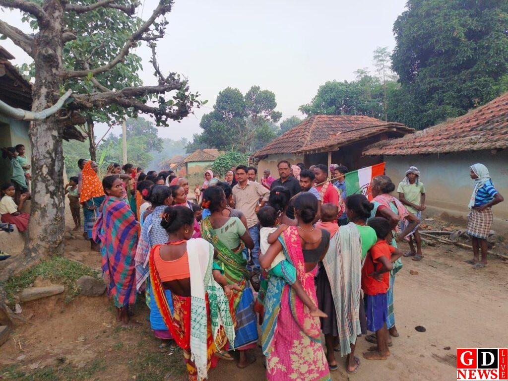 पाकुड़ इंडिया गठबंधन प्रत्याशी निशात आलम के पक्ष में यूथ कांग्रेस विधानसभा महासचिव आबुतालाहा ने ग्रामीण क्षेत्र में चलाया जनसंपर्क अभियान 7 img 20241109 wa00348231105289726705088