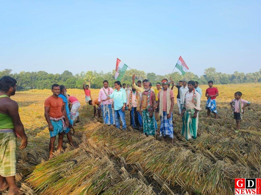 img 20241112 wa00272718788869092015232