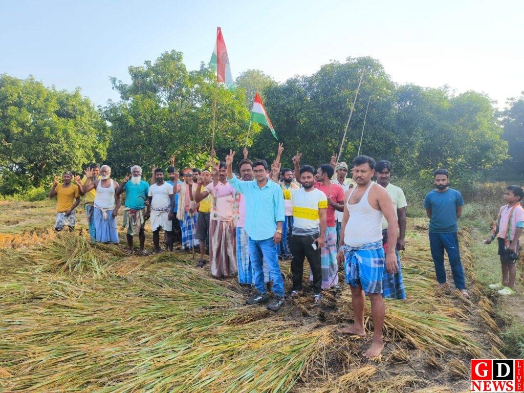 img 20241112 wa0032638323578158547981