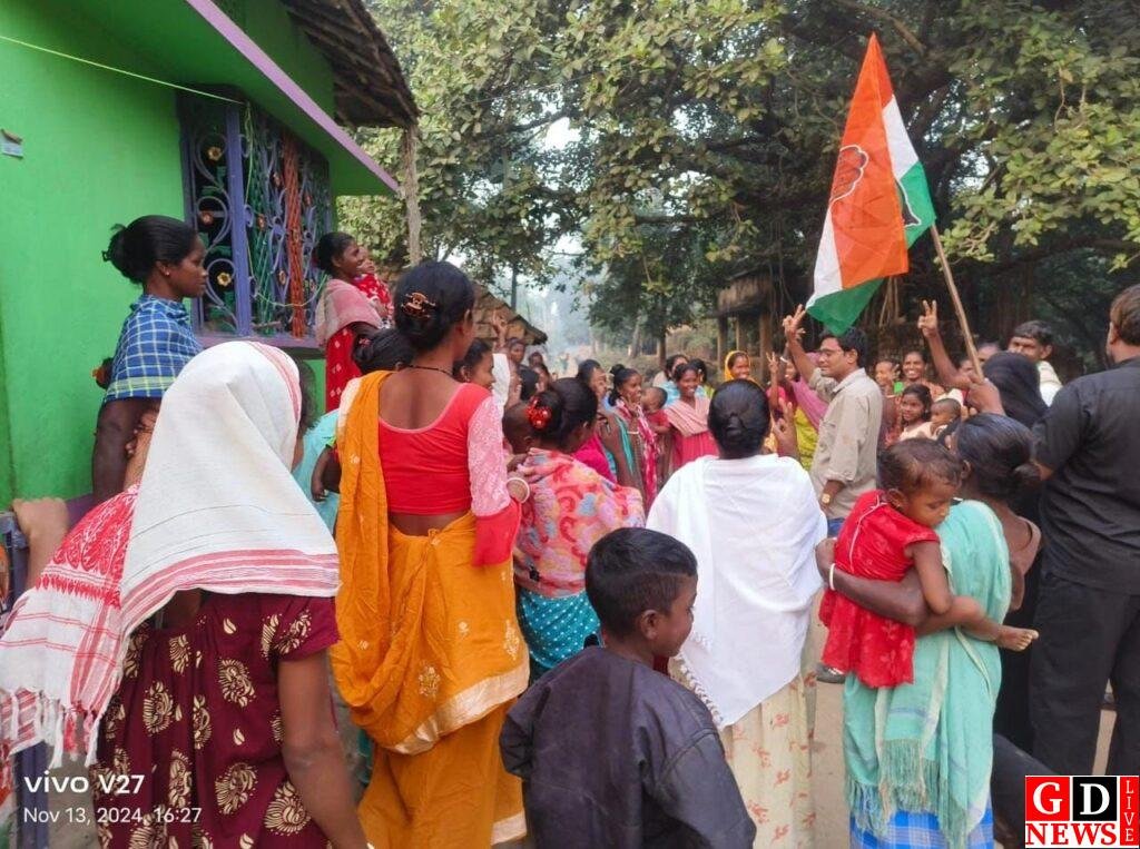 निशात आलम के पक्ष में यूथ कांग्रेस दिन रात चला रही ग्रामीण क्षेत्रों पर जनसंपर्क अभियान। 7 img 20241113 wa00492458356971464944951