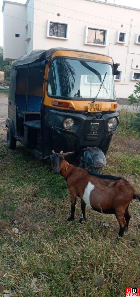 img 20241207 wa00088612486371031749130