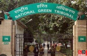 img 20241207 wa00207296043935816728641