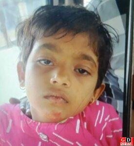 img 20241208 wa00068238721670343497272