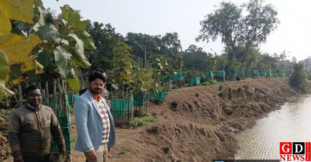 जिला उद्यान पदाधिकारी ने किया विभिन्न योजनाओं का स्थल निरीक्षण। 7 img 20241231 wa00288486647792328454197