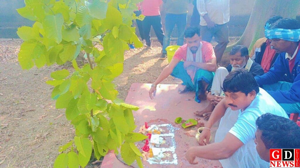 पाकुड़ पॉलिटेक्निक परिसर में पूरे उल्लास के साथ मनाया गया सोहराय पर्व 7 img 20250113 wa00123311121715143380899