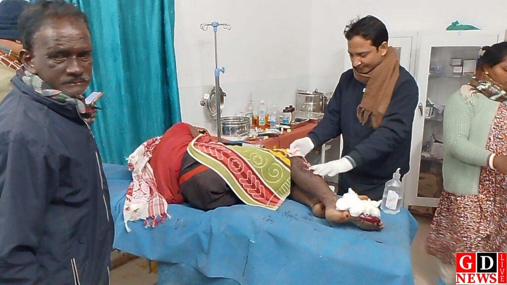 सड़क दुर्घटना में एक व्यक्ति गंभीर रूप से घायल, किया गया हायर रेफर। 7 img 20250131 wa00518605275543645676856