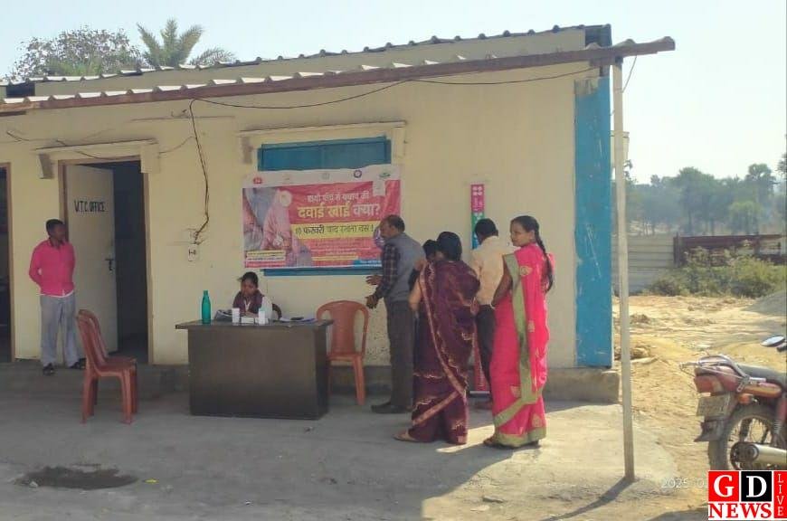 img 20250212 wa00088266212042881028611