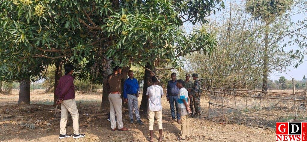 img 20250223 wa00242592678865755280399