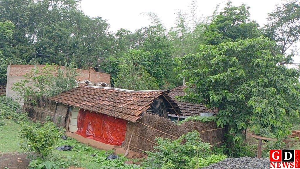 img 20250526 wa00207520761579619981110