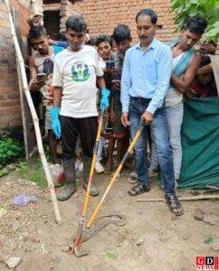 वन विभाग की रेस्क्यू टीम ने घर में घुसे विषैले रसैल वाइपर का सुरक्षित रेस्क्यू कर जंगल में छोड़ा। 10 IMG 20251029 WA0009
