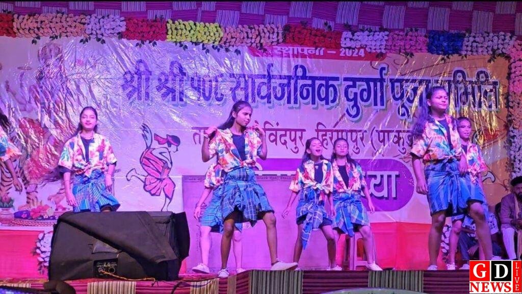 तारापुर दुर्गा पंडाल में अंतरराज्यीय डांस धमाका – नेपाल से राजस्थान तक के कलाकारों ने मचाया जलवा। 14 img 20251001 wa00138724676856265165308