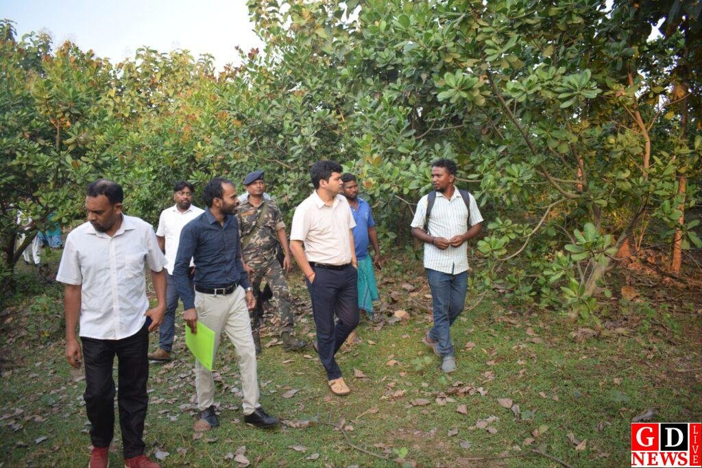 काजू बागान का निरीक्षण, उपायुक्त ने किसानों की आमदनी बढ़ाने और पर्यावरण बचाने की पहल को सराहा। 13 img 20251023 wa00227639558986509267802