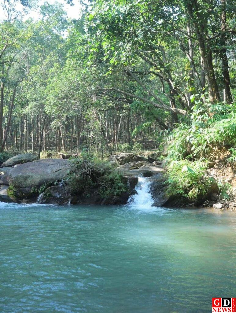 नेतरहाट दर्शन अब होगा और भी रोचक एवं प्रकृति के दुर्लभ एवं अद्भुत नज़ारों से भरपूर। 17 fb img 17636309394774600099837976095733