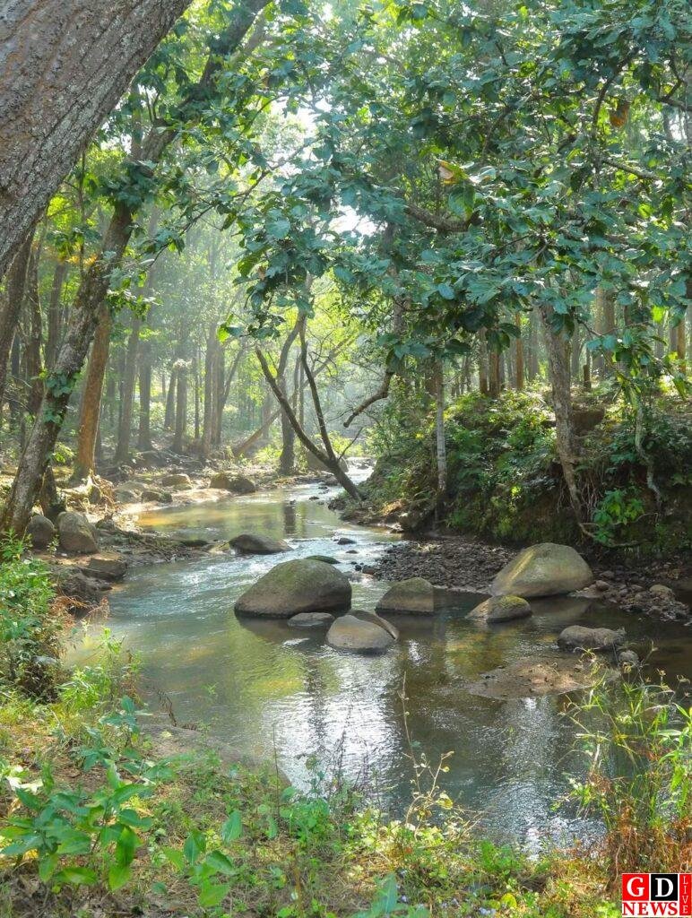 नेतरहाट दर्शन अब होगा और भी रोचक एवं प्रकृति के दुर्लभ एवं अद्भुत नज़ारों से भरपूर। 16 fb img 17636312035786815153097889372076