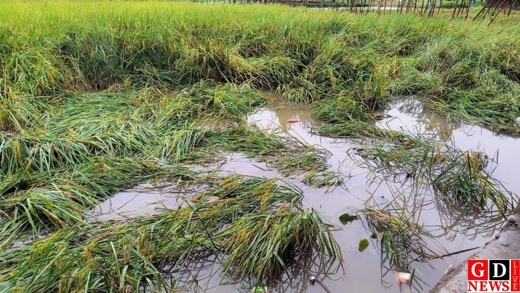 img 20251101 wa00149105047063558945531