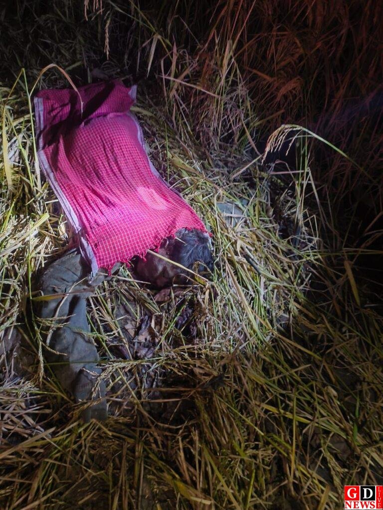 img 20251111 wa00342067235468760124126