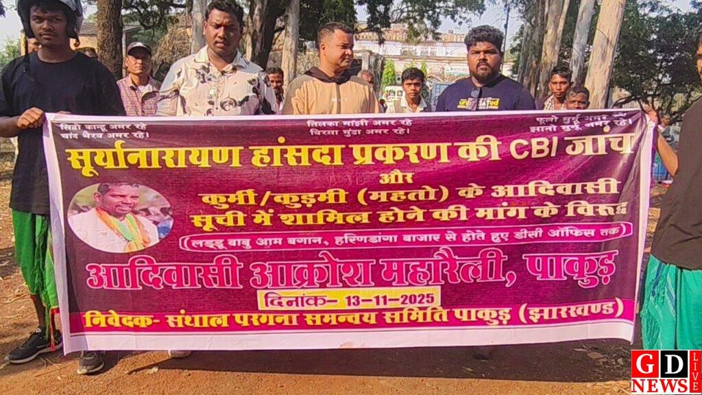 img 20251113 wa00308209266079816264620