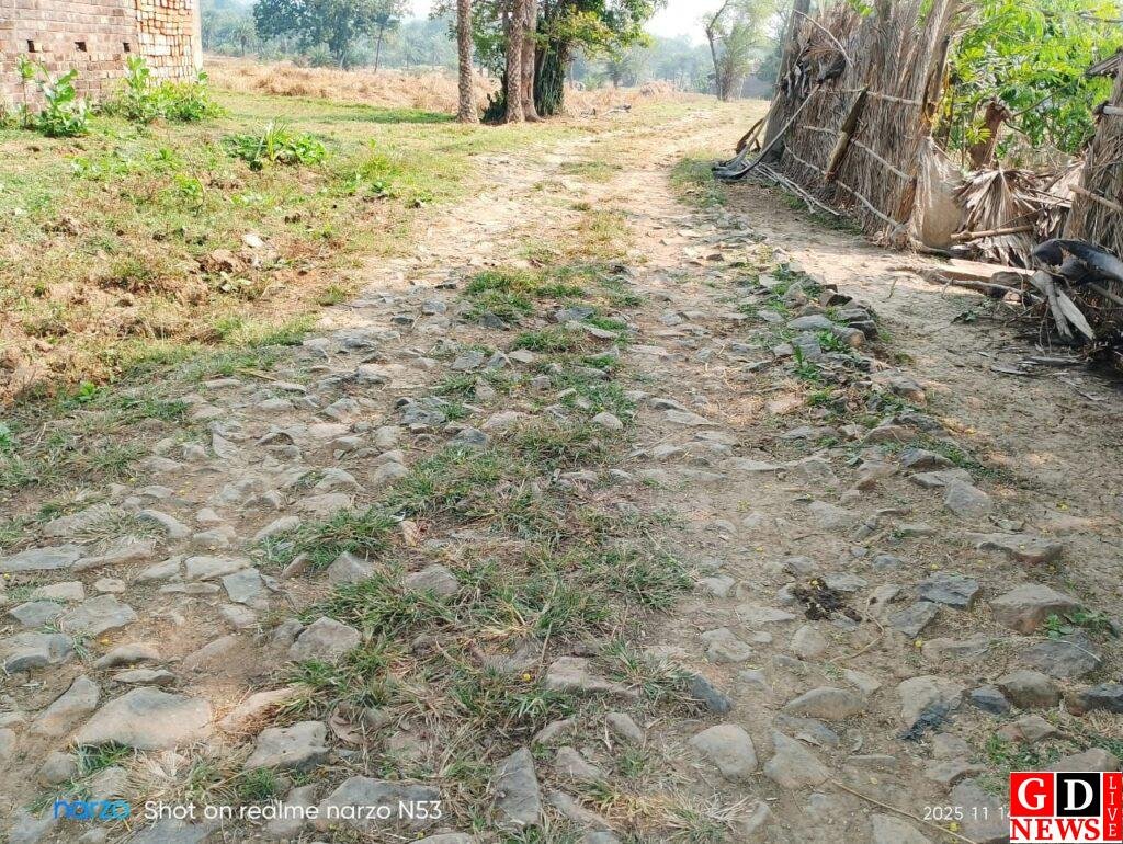 बिशनपुर प्रधान टोला में अबतक सड़क नहीं, बरसात में मरीज को खटिया पर ढोने की मजबूरी। 13 img 20251116 wa00106298767089926009676