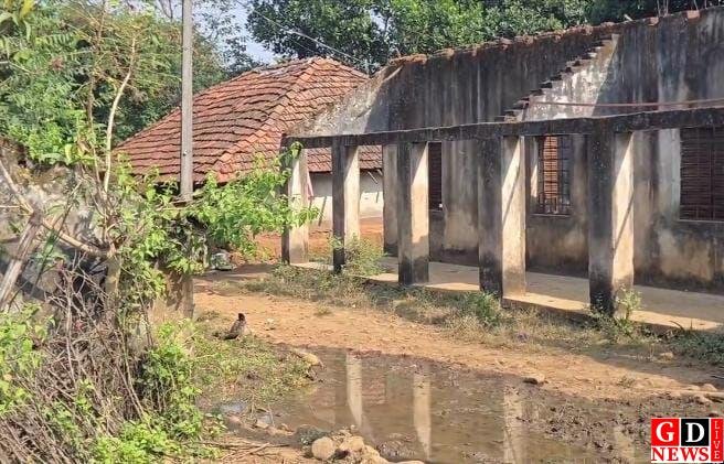 img 20251117 wa00146796564177291301684