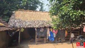 img 20251117 wa00157519271441489317116