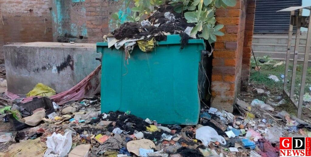 पाकुड़ पर ‘प्रगतिशील’ का लेबल भारी, जमीनी हकीकत में दम तोड़ती सफाई व्यवस्था 15 img 20251119 wa00003212998633734445018