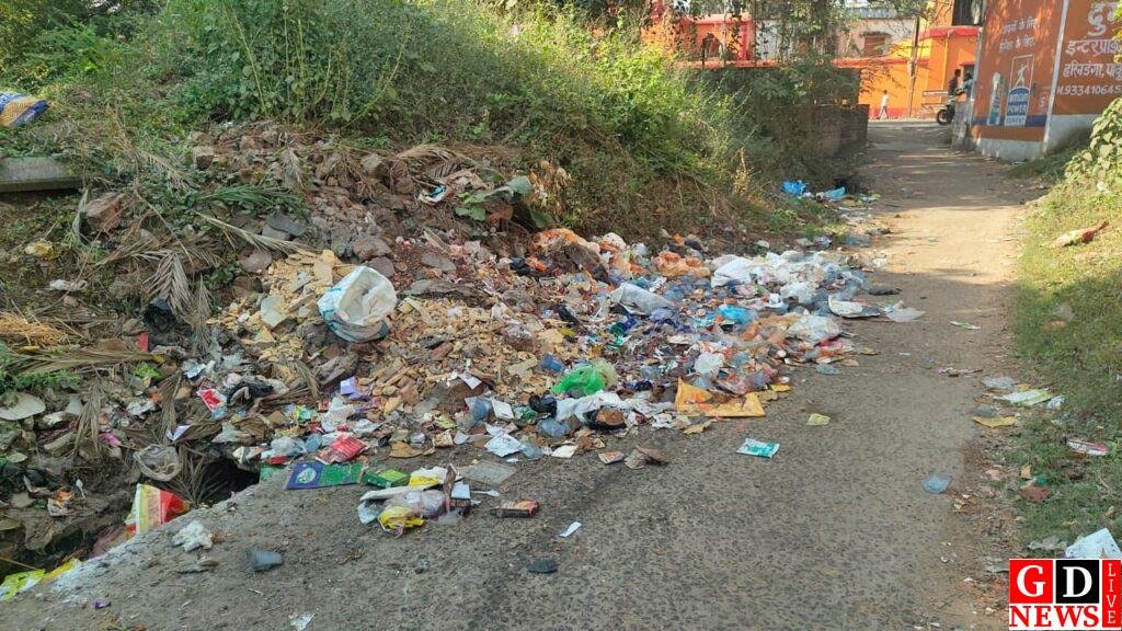 पाकुड़ पर ‘प्रगतिशील’ का लेबल भारी, जमीनी हकीकत में दम तोड़ती सफाई व्यवस्था 13 img 20251119 wa0002726589071348964007