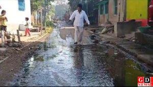 पाकुड़ पर ‘प्रगतिशील’ का लेबल भारी, जमीनी हकीकत में दम तोड़ती सफाई व्यवस्था 16 img 20251119 wa00042158076819709268242