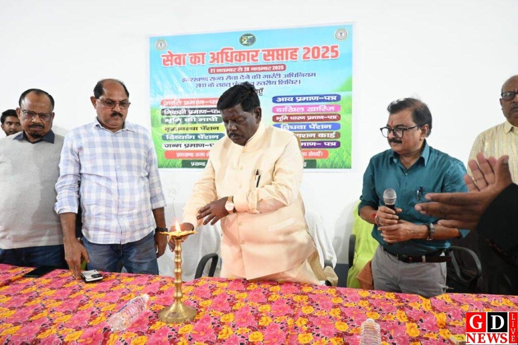 img 20251123 wa00321043013871130459745