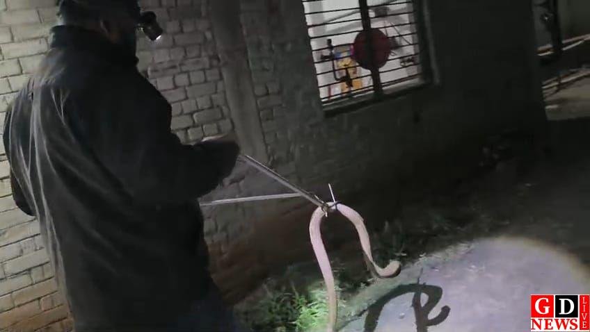 img 20251124 wa00008512887979715341578