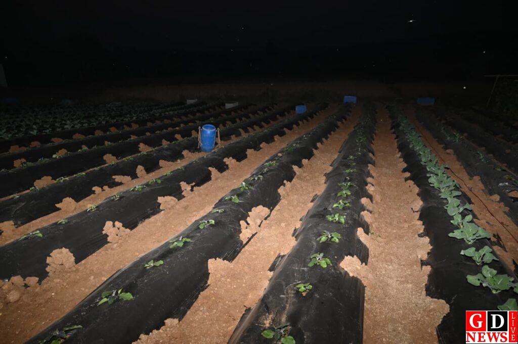 img 20251127 wa00186294992136302348613