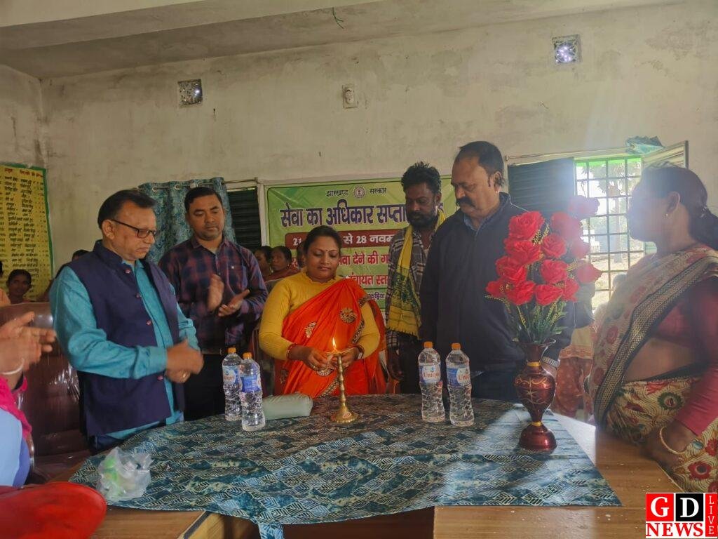 img 20251127 wa00397315727638682468809