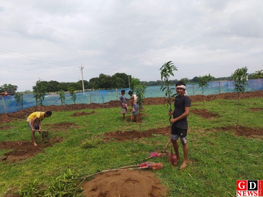 मनरेगा से नुराई गांव की किस्मत बदली, बिरसा हरित ग्राम योजना बनी ग्रामीण विकास की मिसाल। 8 img 20251205 wa00064106692986781419194