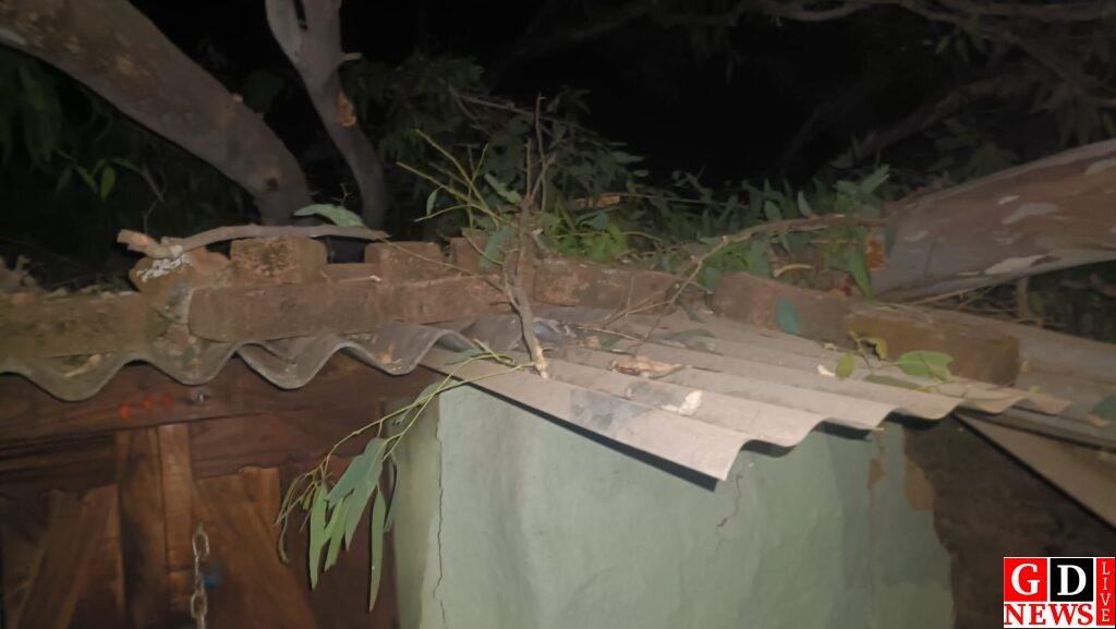 img 20251212 wa00141008340169452727102