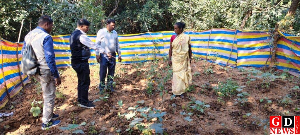 img 20251213 wa00283962167672152335433