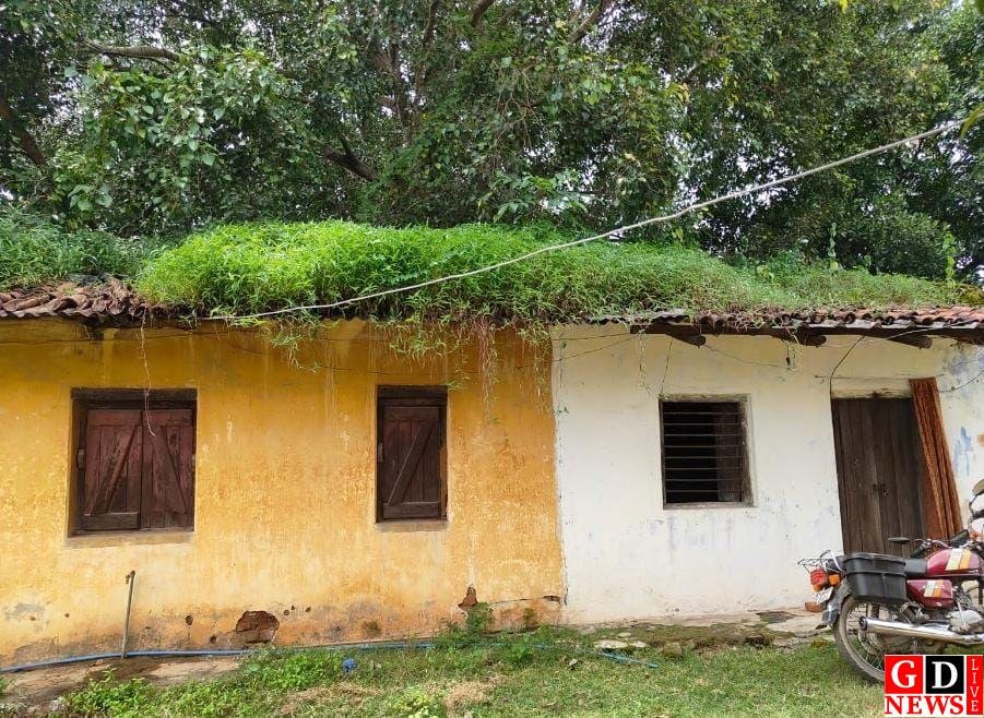 img 20251222 wa00168366693733287516564