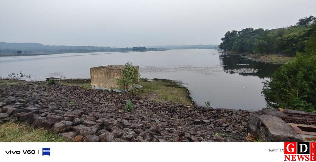 पाकुड़ ने किया 2026 का स्वागत, आधी रात गूंजा ‘हैप्पी न्यू ईयर’, आतिशबाजी और जश्न में डूबा शहर। 8 img 20260101 wa00034239583232602153036