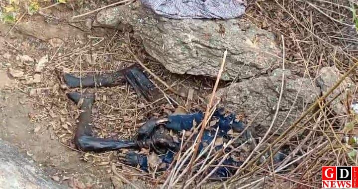 img 20260101 wa016847131160911277397