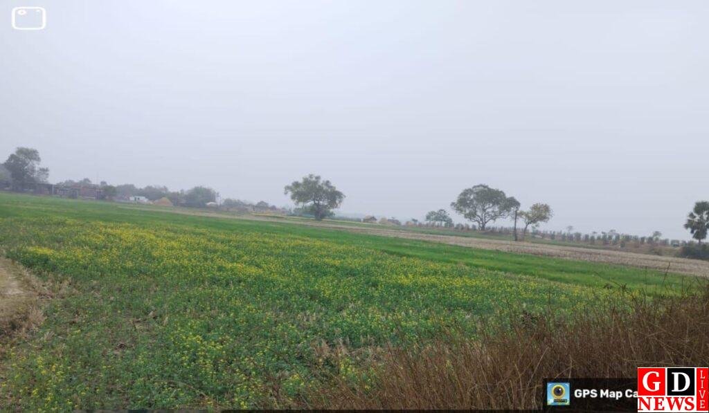 तालाब बना खेती की किस्मत बदलने वाला सहारा। 8 img 20260105 wa00258978008030408977114