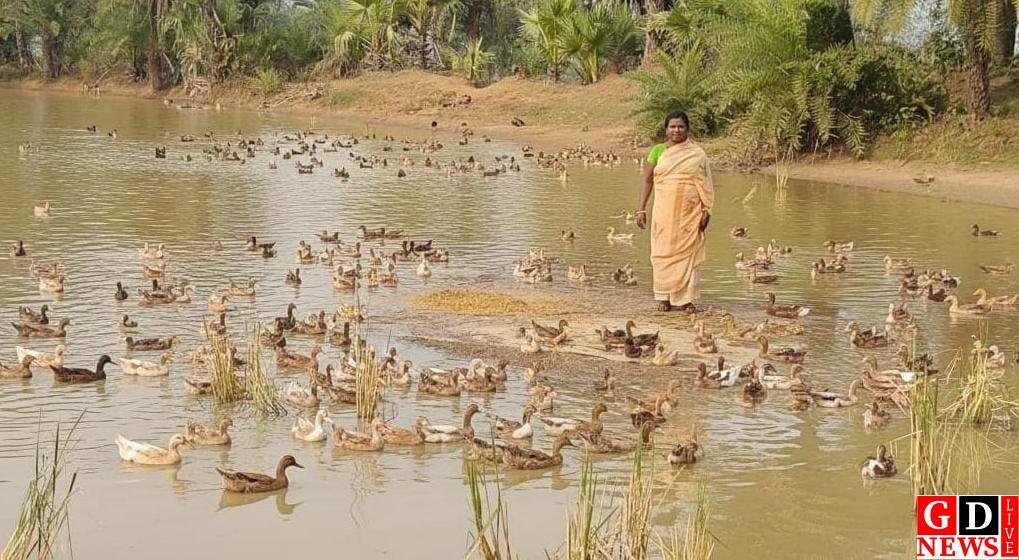 img 20260105 wa00262135797561352228063