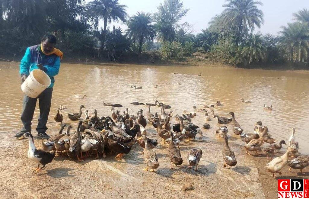 img 20260105 wa00273477169152178632635