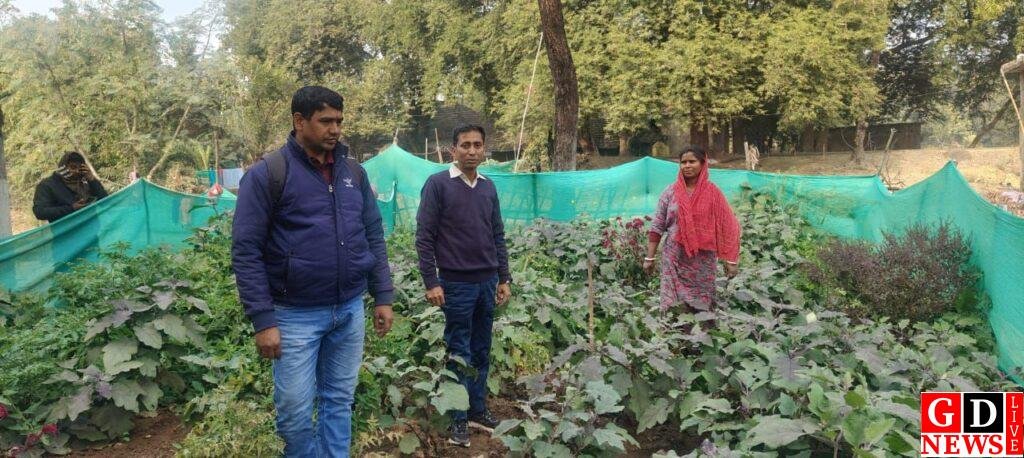 मनरेगा योजनाओं का स्थल निरीक्षण, गुणवत्ता और आजीविका पर दिया गया विशेष जोर। 8 img 20260106 wa00241213981337233320825