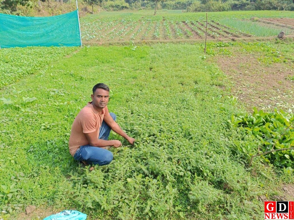 खेतों में उगाई मेहनत की फसल, बनी सफलता की कहानी 7 img 20260107 wa00045947475401659236523