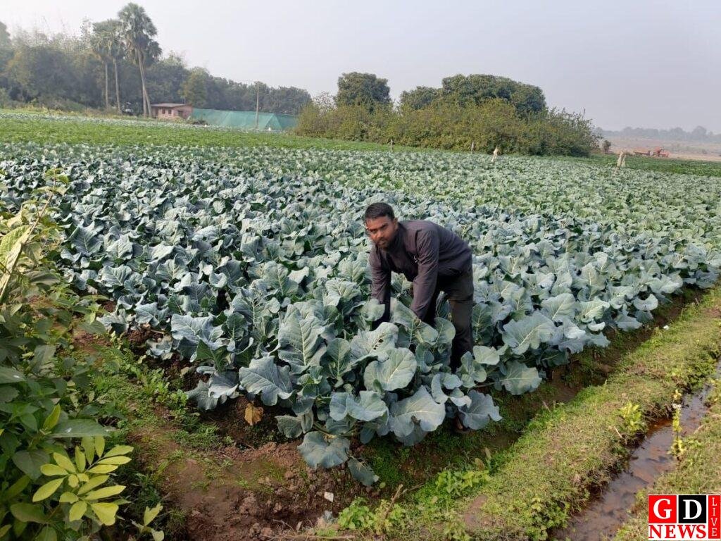 खेतों में उगाई मेहनत की फसल, बनी सफलता की कहानी 8 img 20260107 wa00057819619918836175093