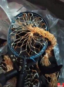 img 20260108 wa00214459497895783114758